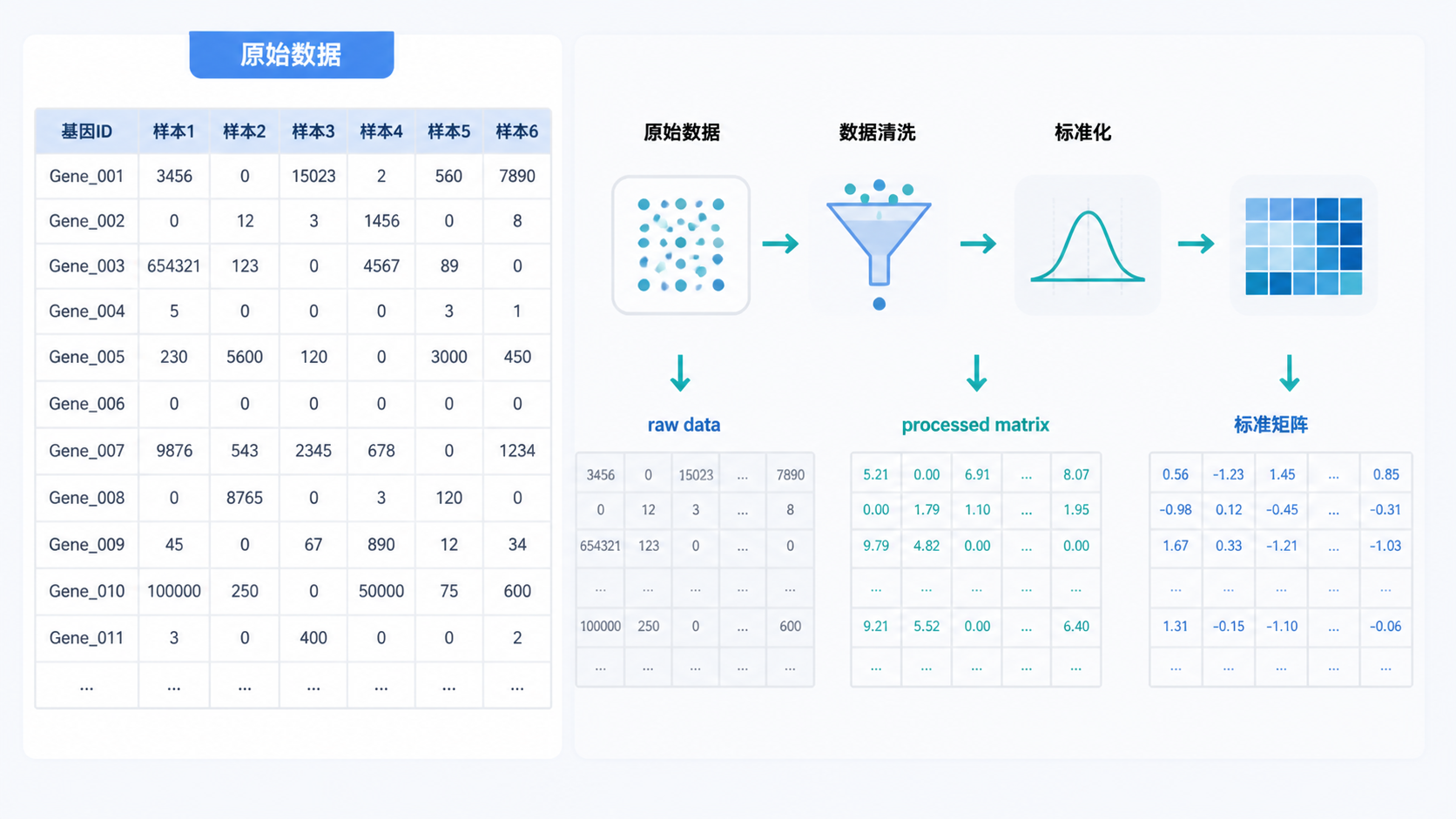 实验数据表格与生信分析流程图并列展示，突出表达矩阵从原始数据到标准矩阵的转换过程