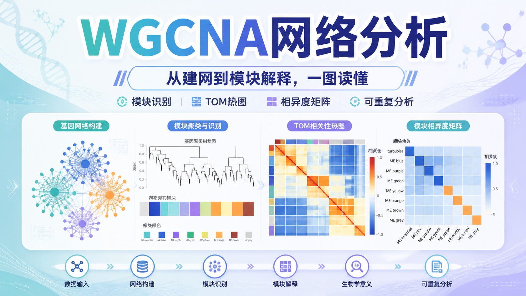 WGCNA网络图怎么画？5步搞定