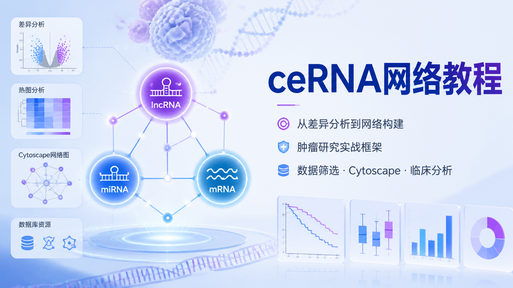 ceRNA网络教程：从零到实战的完整指南