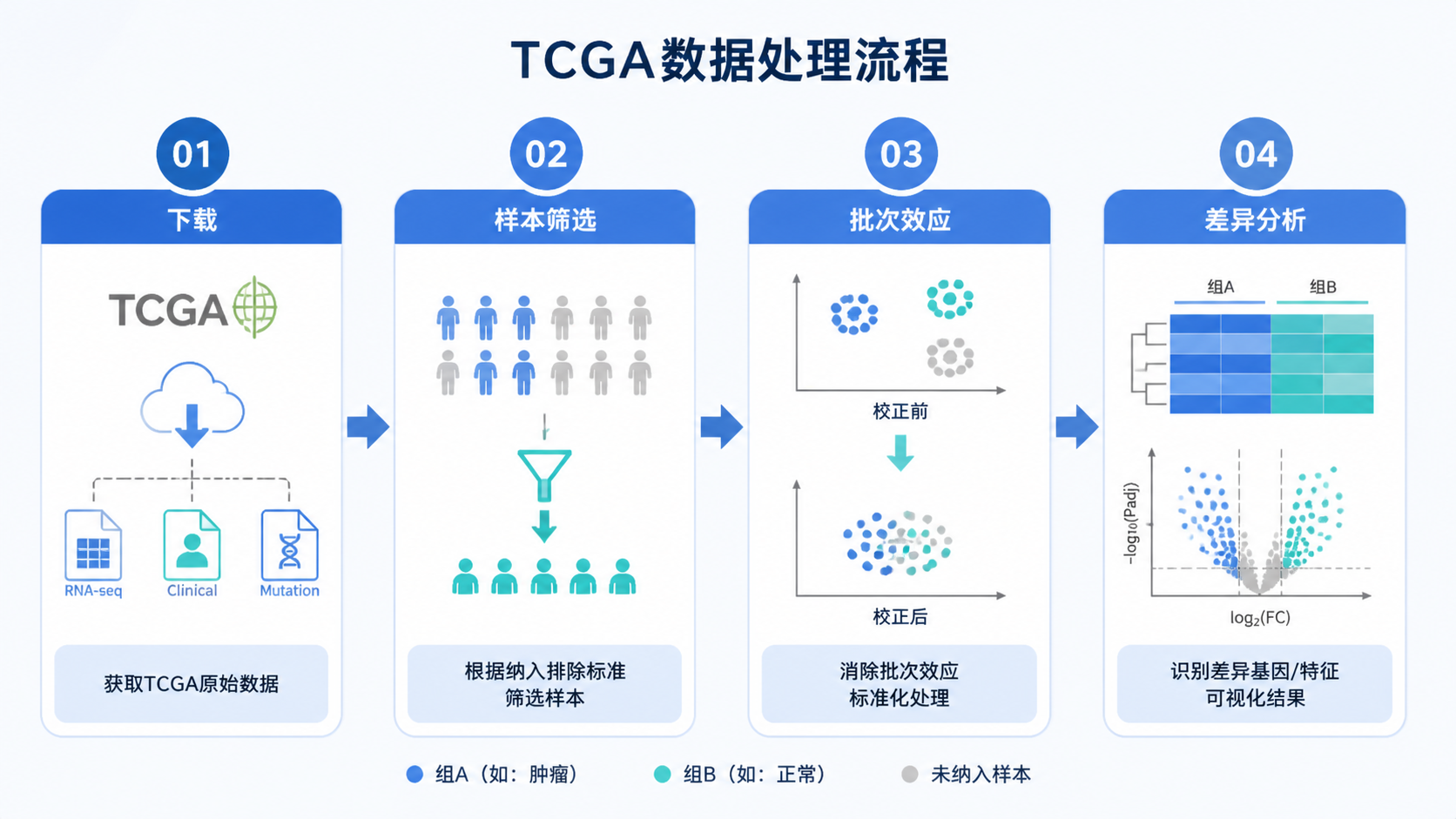 TCGA数据处理流程示意图，包含下载、样本筛选、批次效应、差异分析四个步骤，风格简洁专业