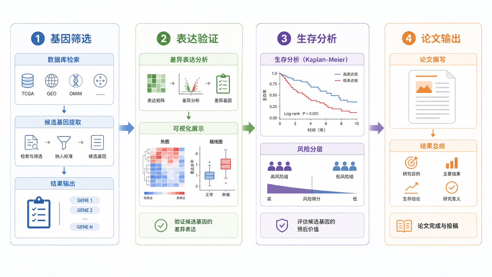 数据库分析流程图,展示从基因筛选、表达验证到生存分析和论文输出的完整路径