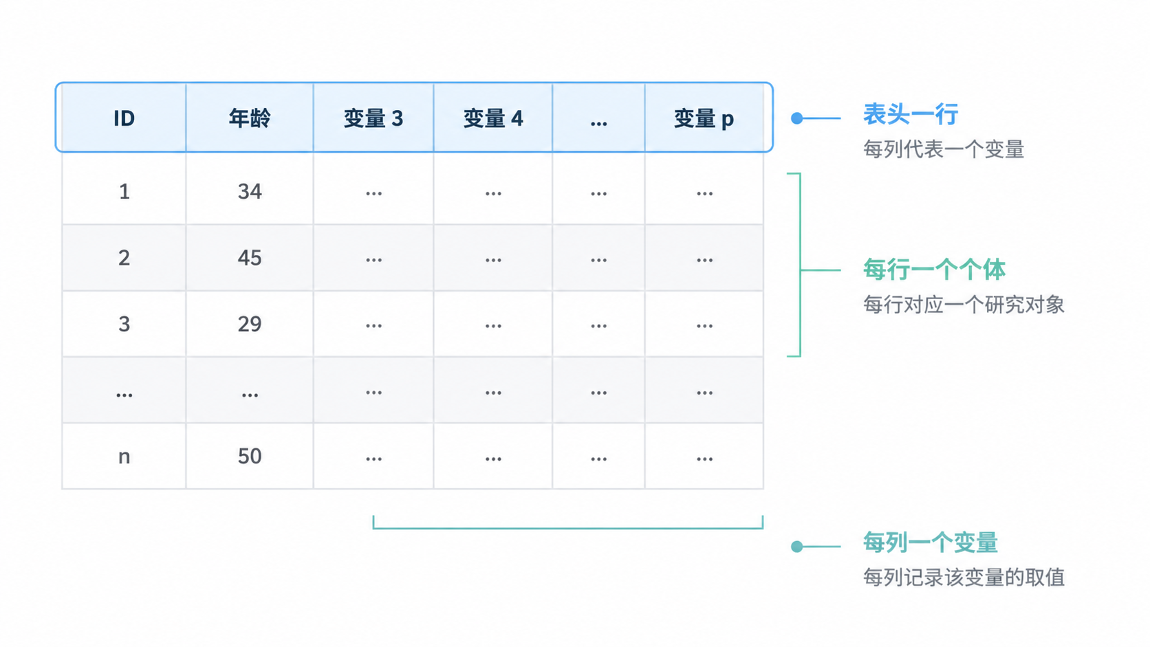 一张二维表格示意图，突出“表头一行、每行一个个体、每列一个变量”的规范结构，旁边标注ID、年龄、性别等字段。