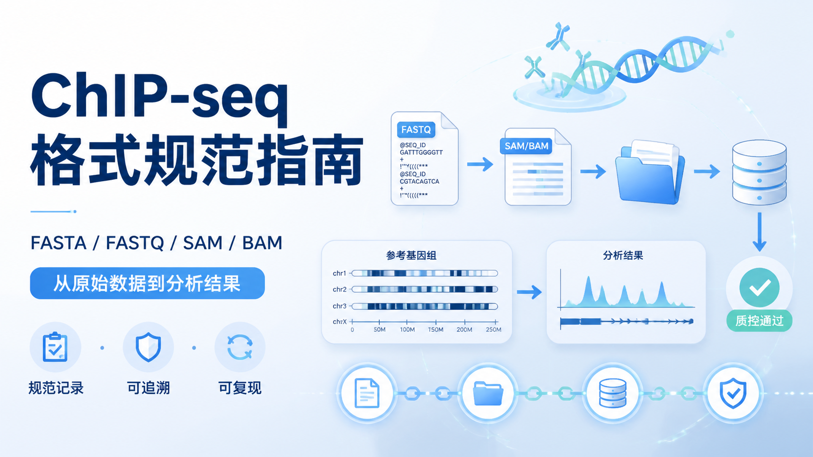 Chip-seq格式如何规范呈现？4个要点
