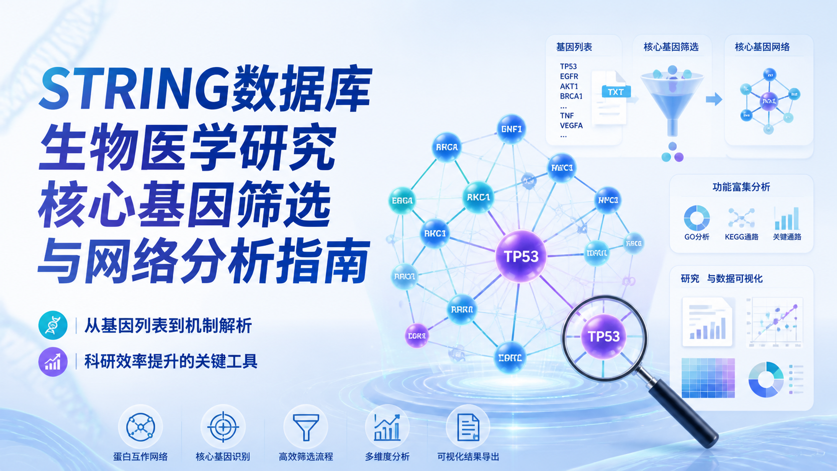 String数据库如何提升生物医学分析效率？