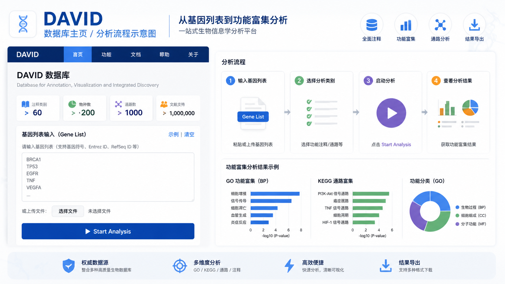 一张DAVID数据库主页或分析流程示意图，突出“Start Analysis”“Gene List”“Functional Annotation Tool”等关键入口。