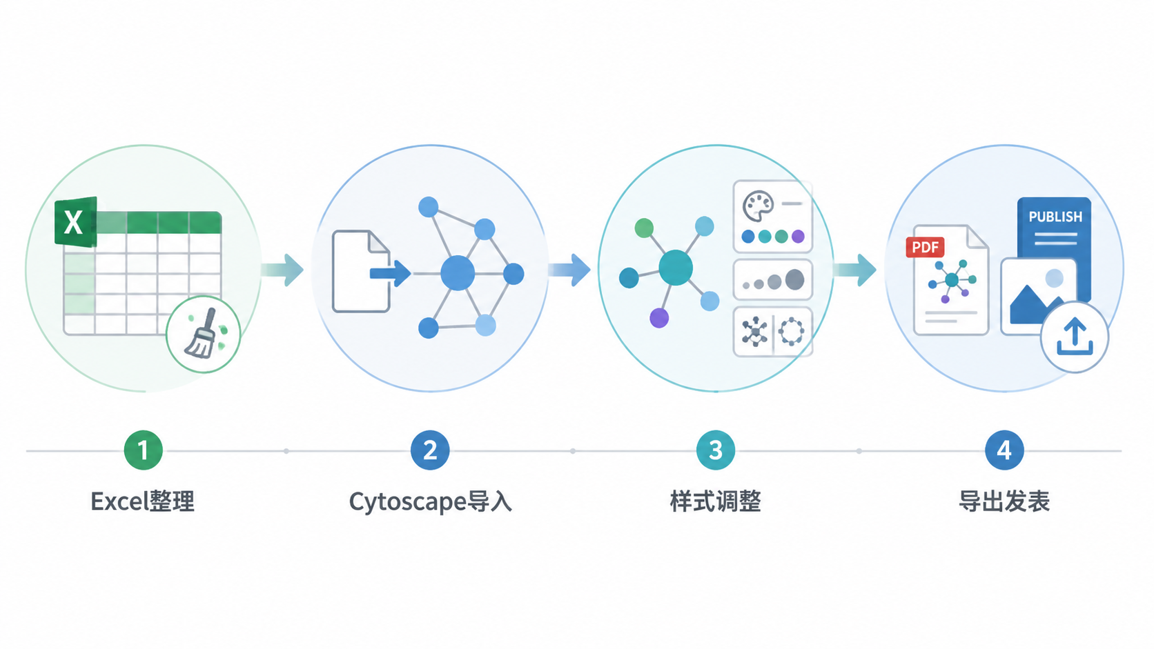 一张简洁的科研可视化流程图，展示从Excel数据整理、Cytoscape导入、样式调整到导出发表级网络图的完整步骤。