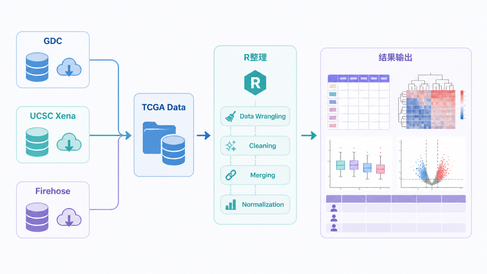 一张TCGA数据流程示意图，展示从GDC/UCSC Xena/Firehose到R语言整理的完整链路，突出下载、清洗、分析三个环节
