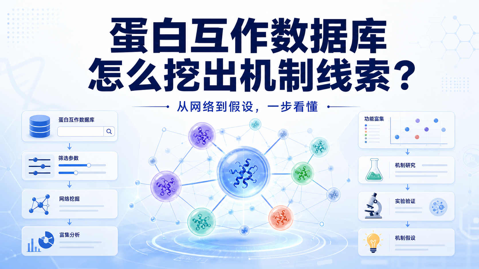 蛋白互作数据库：4步高效挖掘机制？