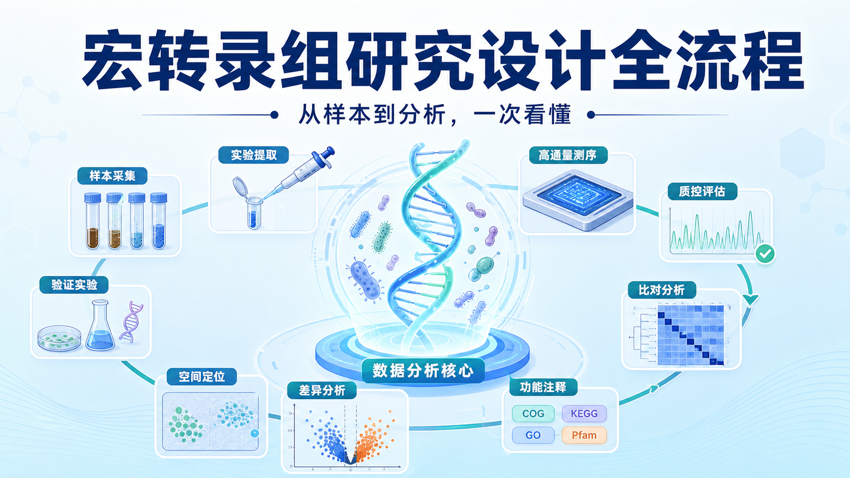 宏转录组：实验设计与生信分析要点