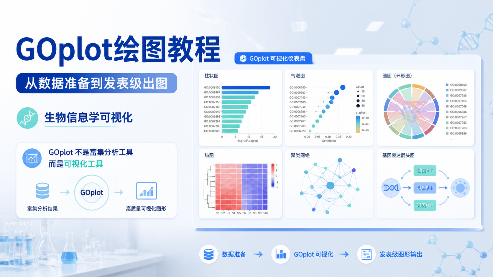 富集分析可视化怎么做？5步详解