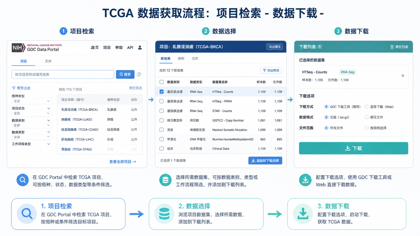 TCGA数据库界面、GDC Portal检索页面与数据下载流程示意图，突出“项目检索-数据下载-分析”三步结构。