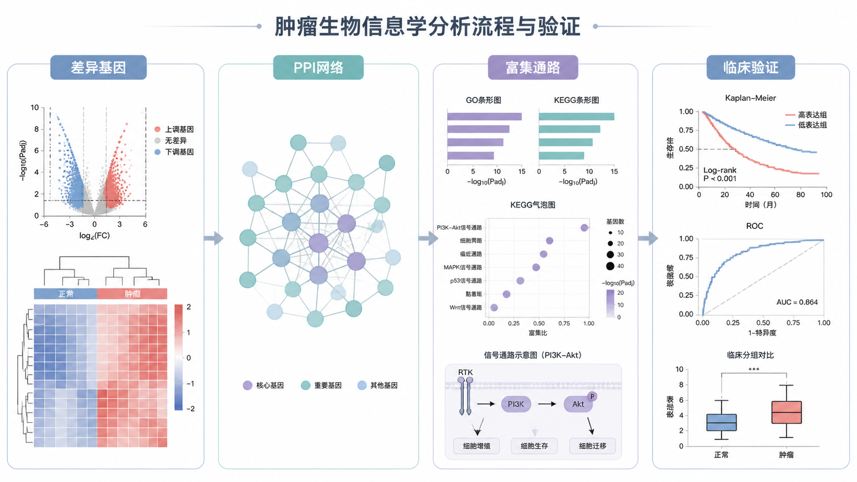 一张完成度高的肿瘤生信分析总览图，包含差异基因、PPI网络、富集通路和临床验证模块，风格简洁专业