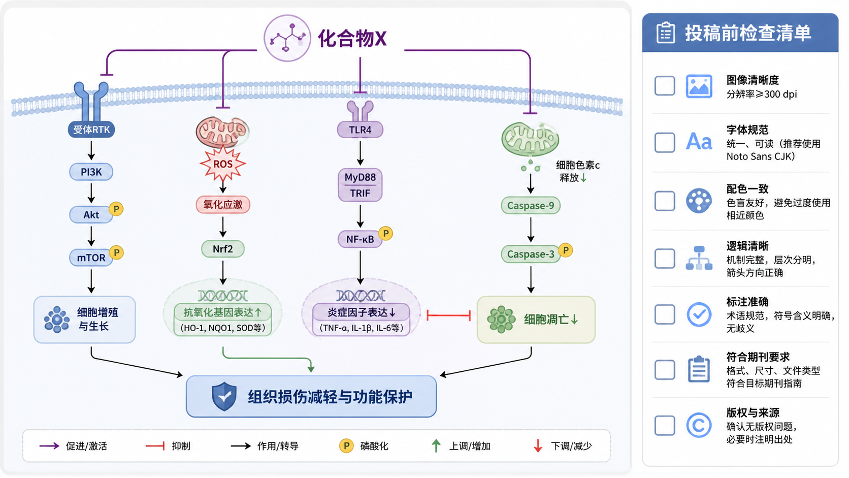 一张完成度高的SCI机制图成稿，配有简洁图例、统一字体和清晰通路箭头，旁边展示“投稿前检查清单”式的视觉元素