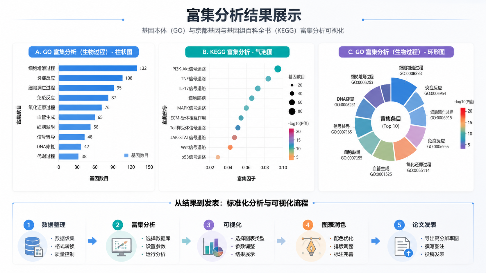一张完成后的论文风格富集分析图合集，包括柱状图、气泡图和圈图，旁边有“从结果到发表”的流程示意，画面专业干净