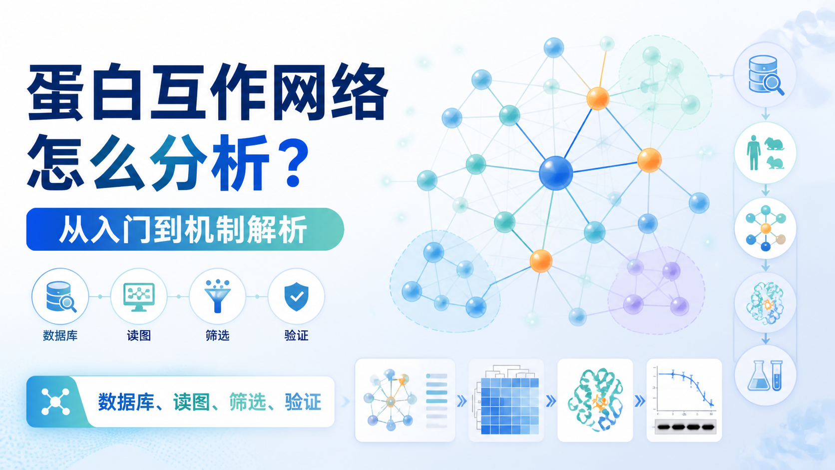 蛋白互作网络怎么构建？3步详解