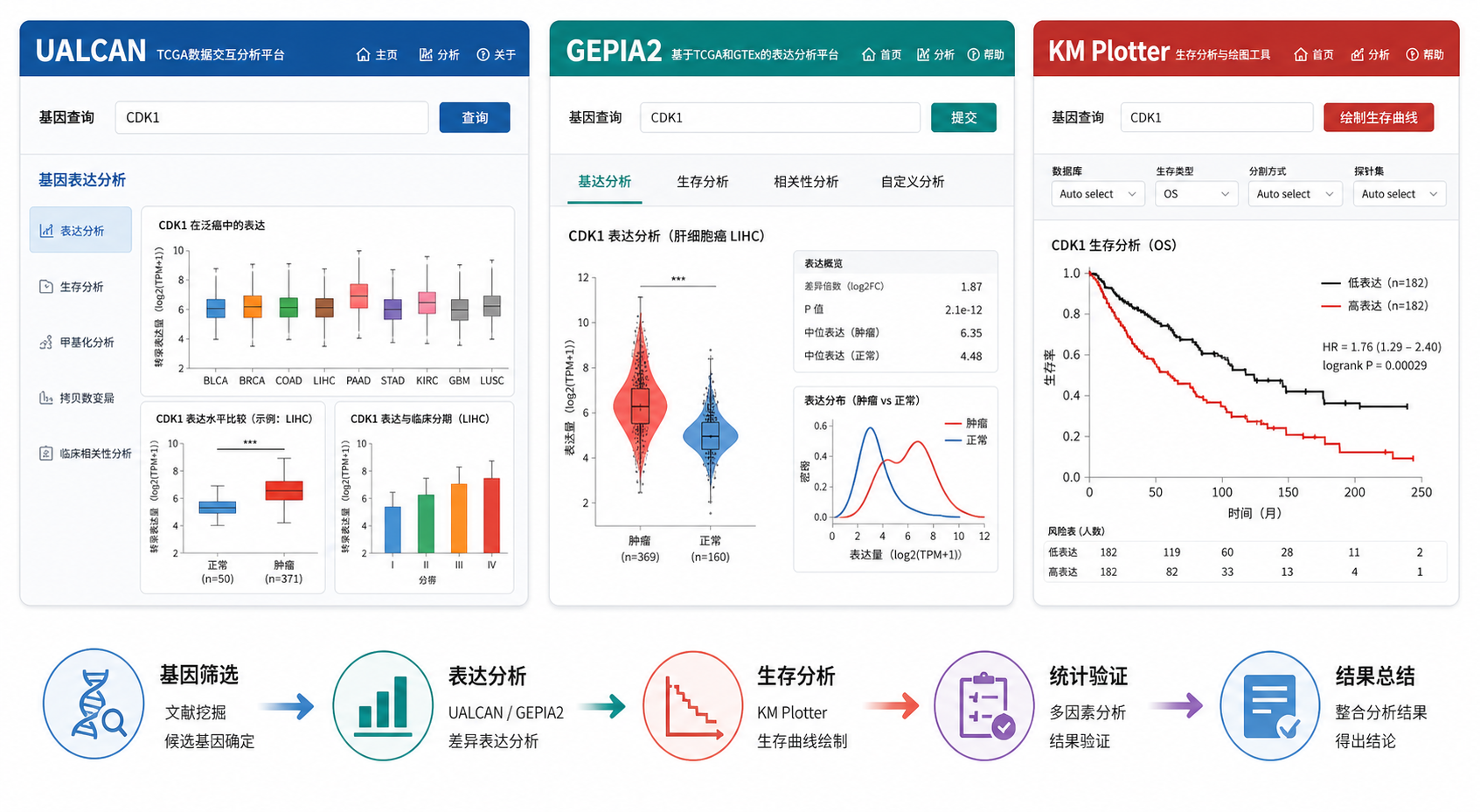 三联屏展示UALCAN、GEPIA2和KM Plotter界面，下方配有研究流程示意图，从基因筛选到生存验证的路径清晰可见