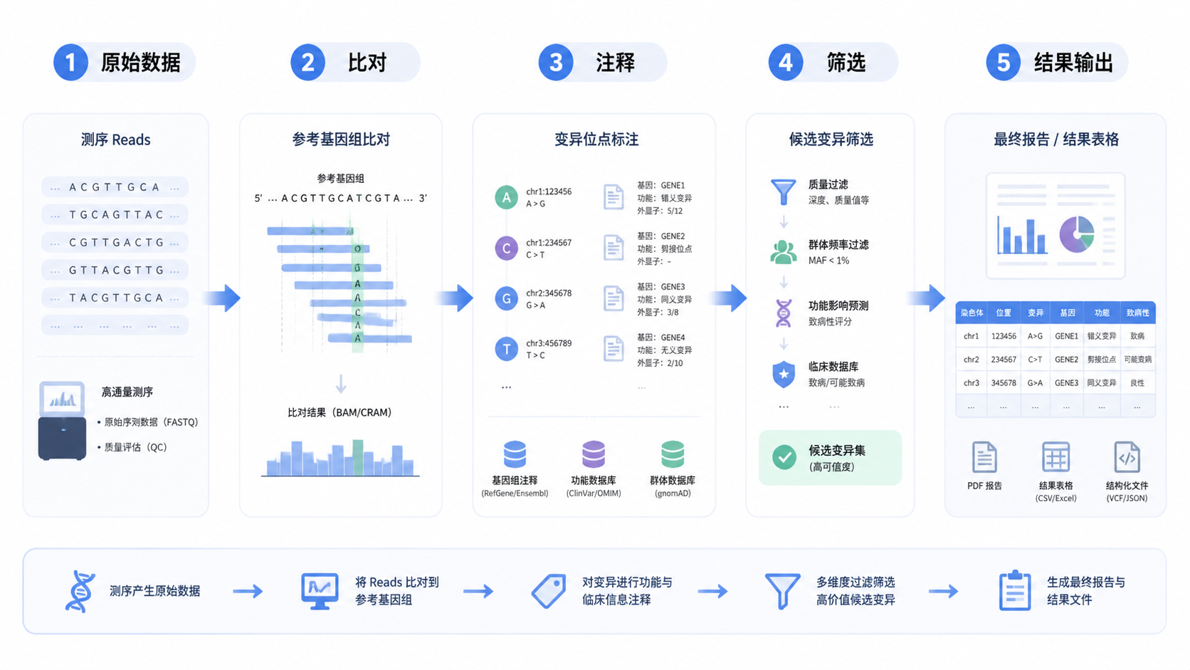 一张展示DNA测序数据到变异分析流程的科研流程图，包含原始数据、比对、注释、筛选和结果输出几个步骤