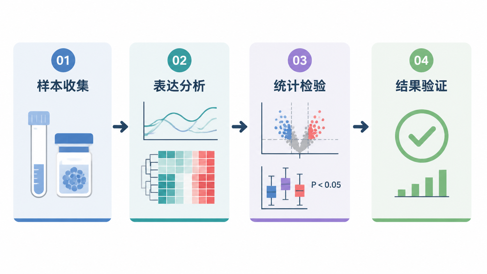 一张肿瘤研究流程图，包含样本收集、表达分析、统计检验和结果验证四个模块，整体风格简洁专业。