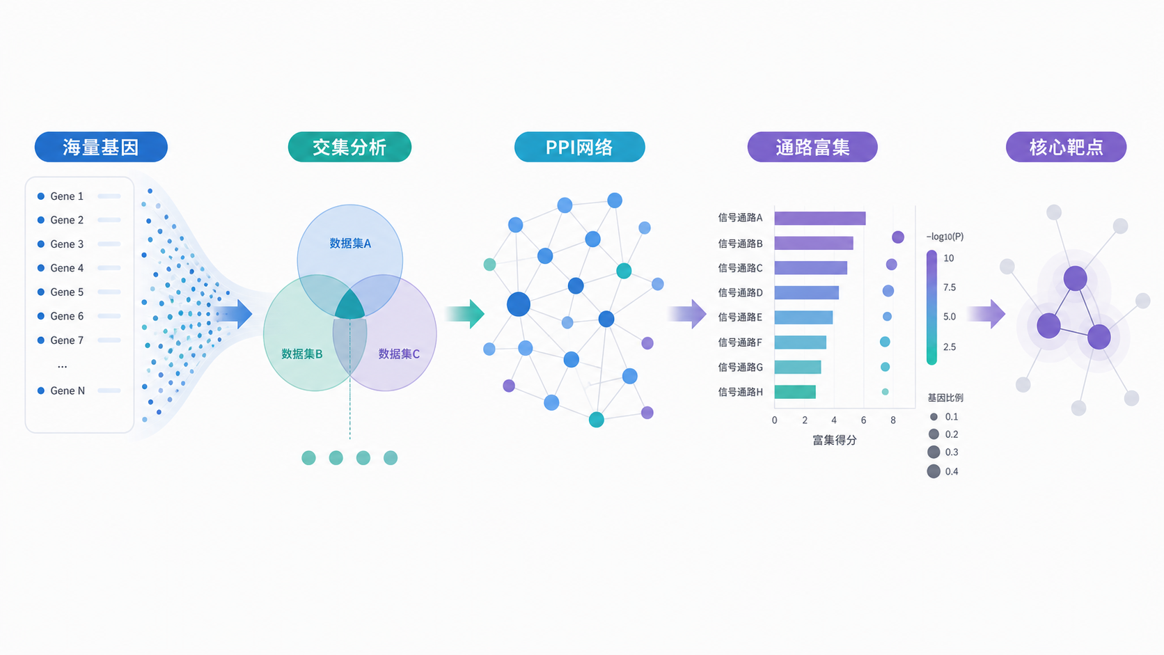 一张从海量基因列表逐步收敛到少数核心靶点的流程图，展示交集分析、PPI网络和通路富集结果，突出“严谨筛选”与“精准靶点”概念。