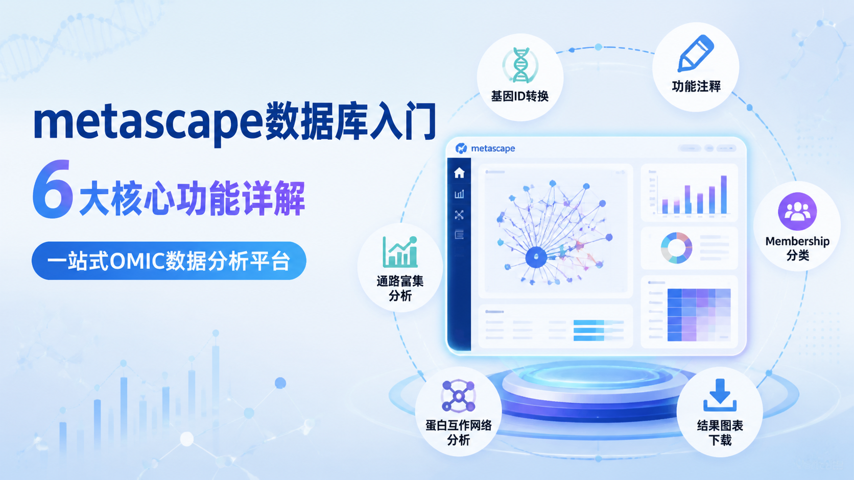 Metascape数据库入门：6个必备功能
