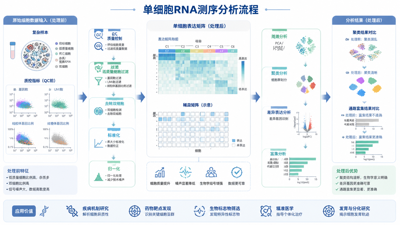 单细胞表达矩阵与下游分析流程示意图，突出质量控制、过滤、标准化对聚类和富集分析的影响。