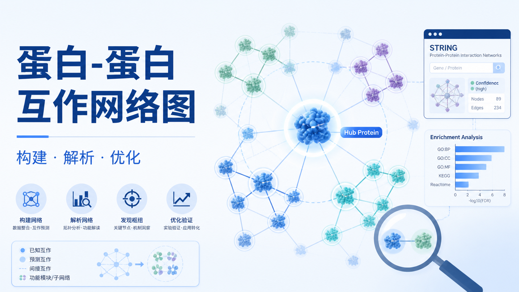蛋白-蛋白互作网络图：如何精准构建与解析？