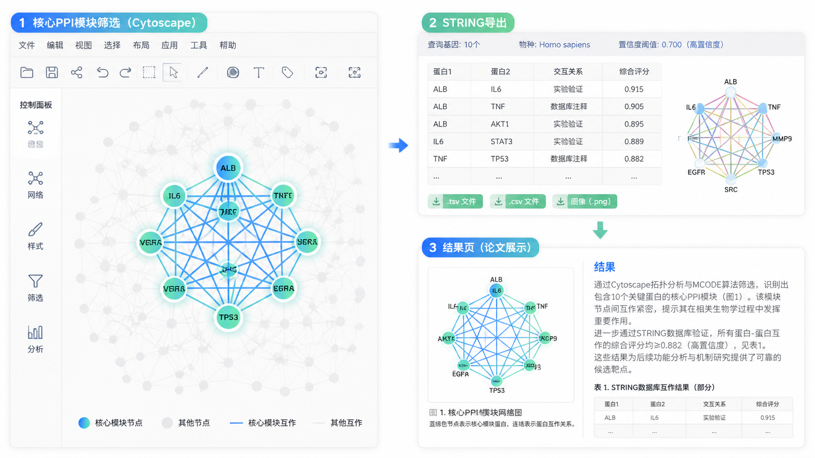Cytoscape中高亮显示核心PPI模块，旁边配有STRING导出文件和科研论文结果页的拼接示意图。