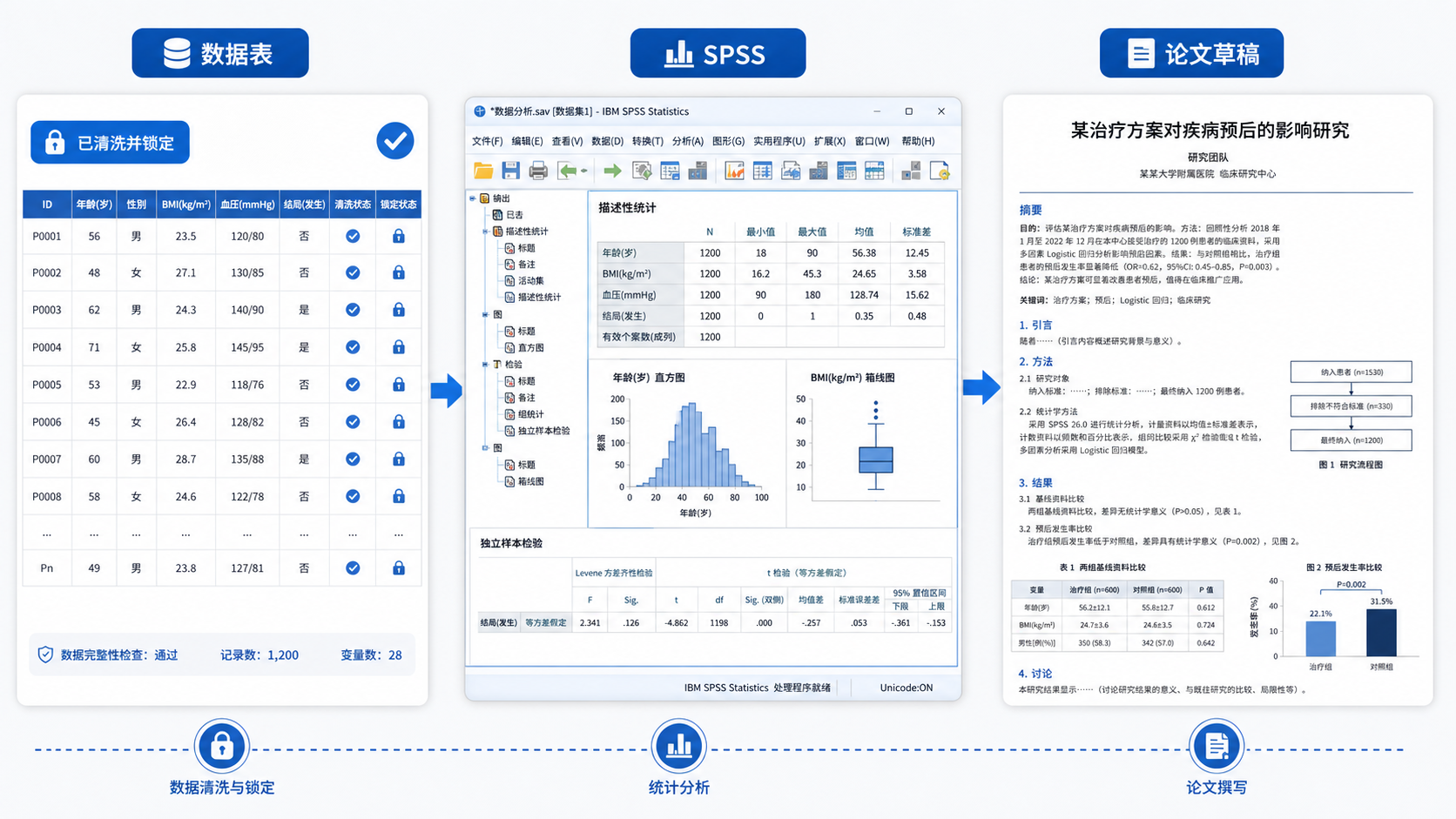 一份完成清洗并锁定的数据表、SPSS界面和研究论文草稿并排展示，体现从数据到论文的规范流程
