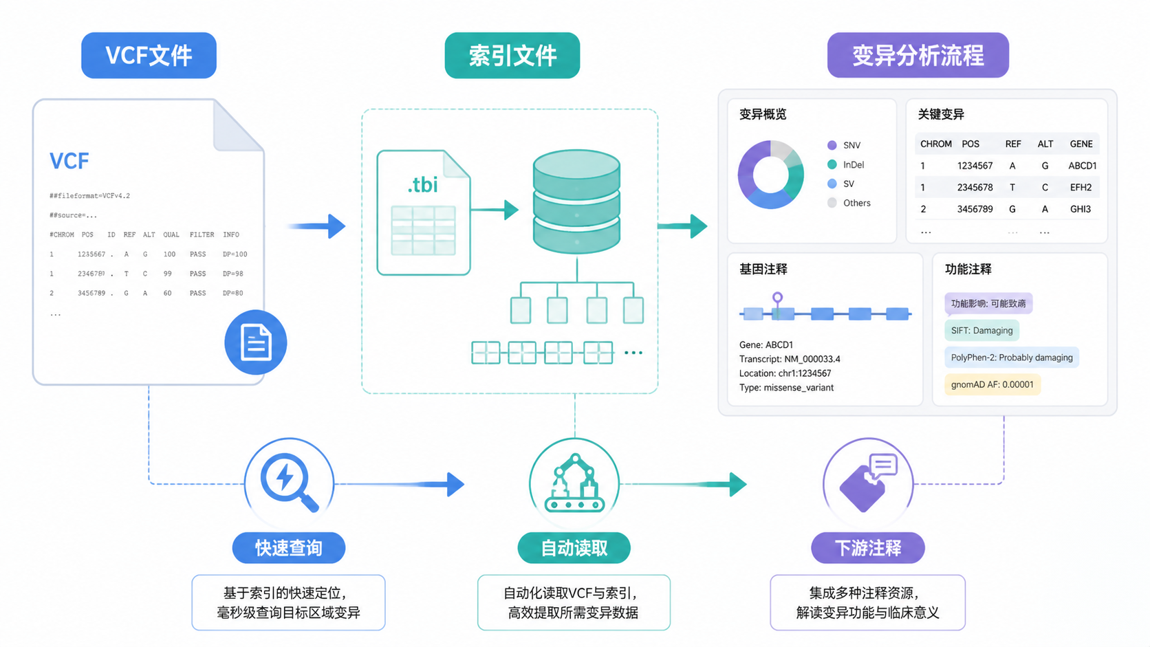一张展示VCF文件、索引文件与变异分析流程的示意图，突出“快速查询、自动读取、下游注释”三个环节。
