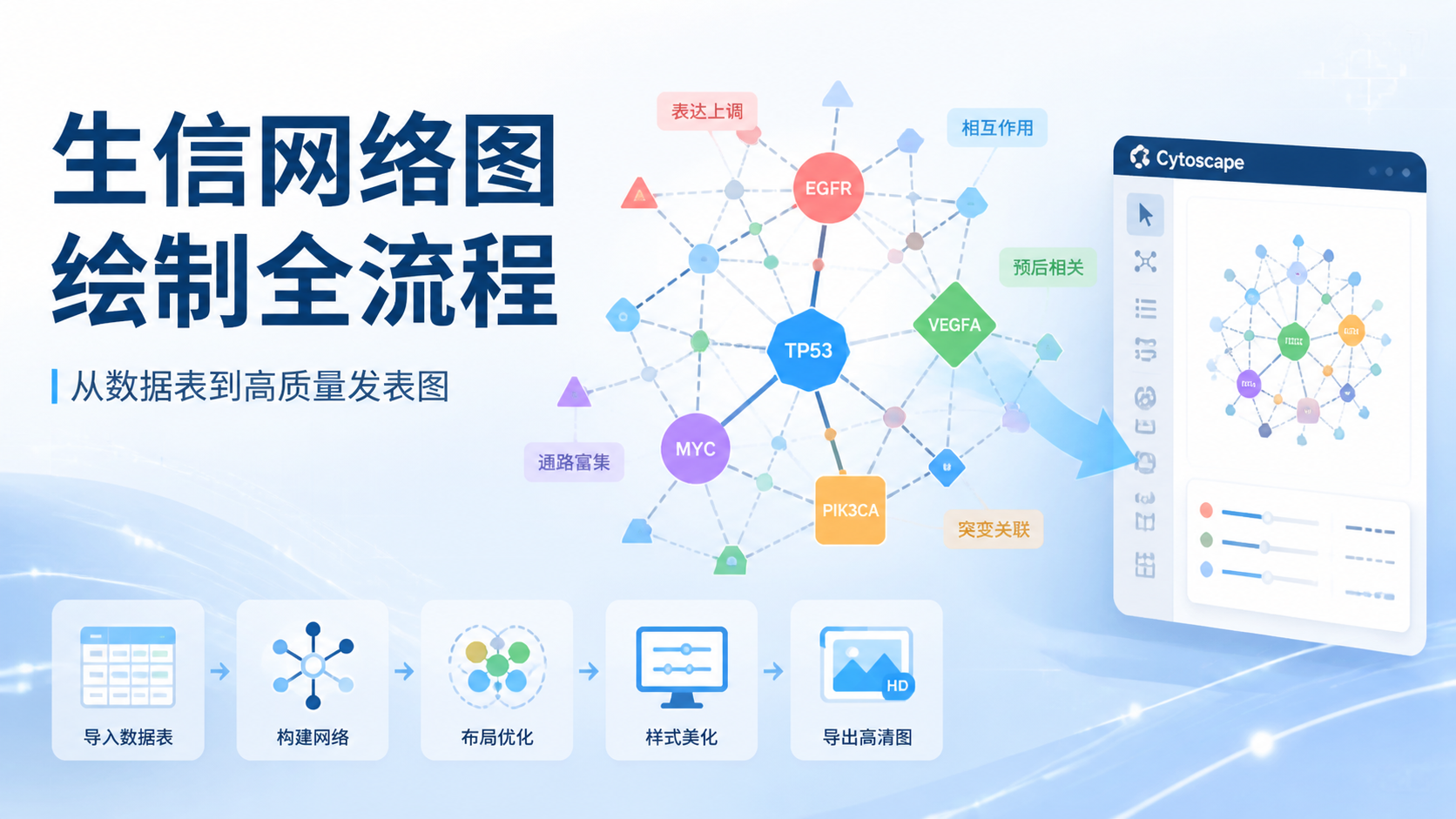 生信网络图绘制入门到精通：6步教程