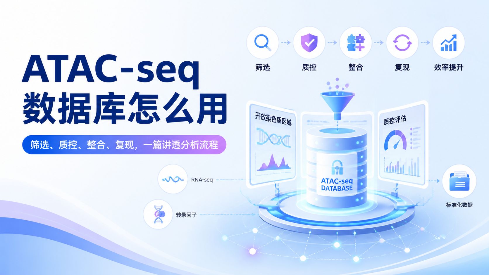 ATAC-seq数据库怎么用？7步构建高效分析