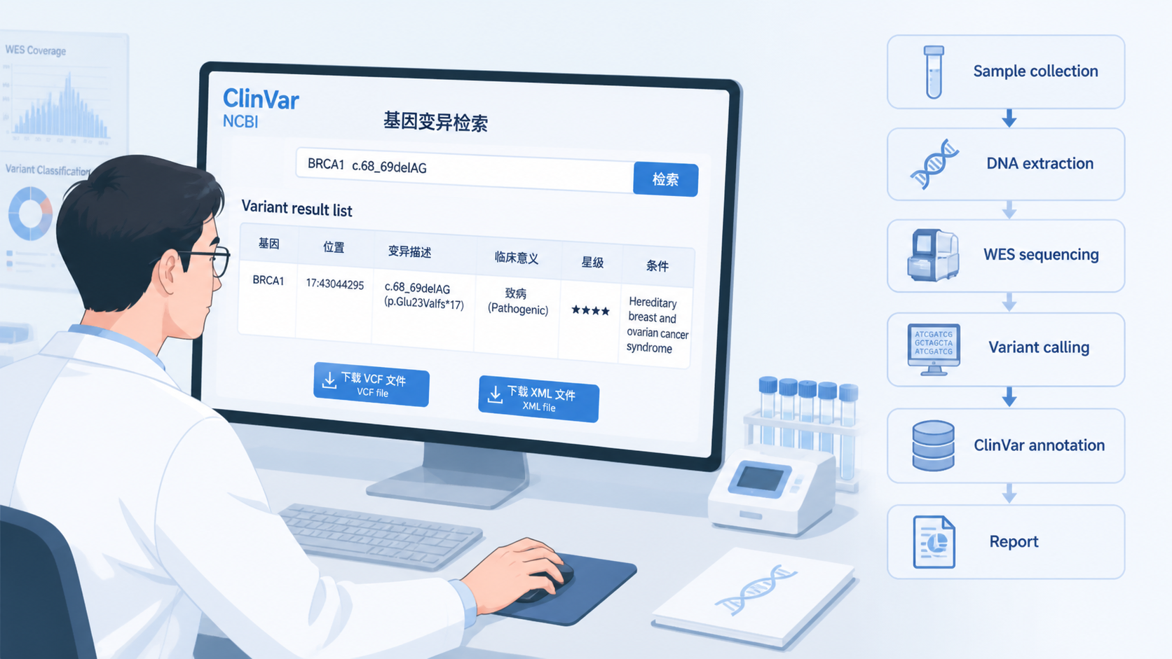 科研人员在电脑前查看ClinVar检索结果、下载VCF/XML文件，并与WES分析流程图结合的场景