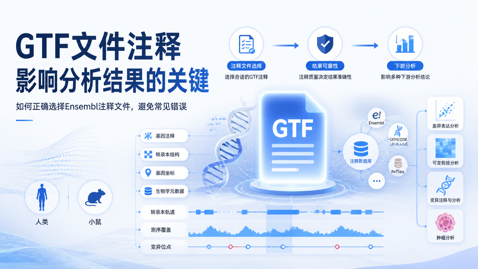 GTF文件注释为什么如此重要？