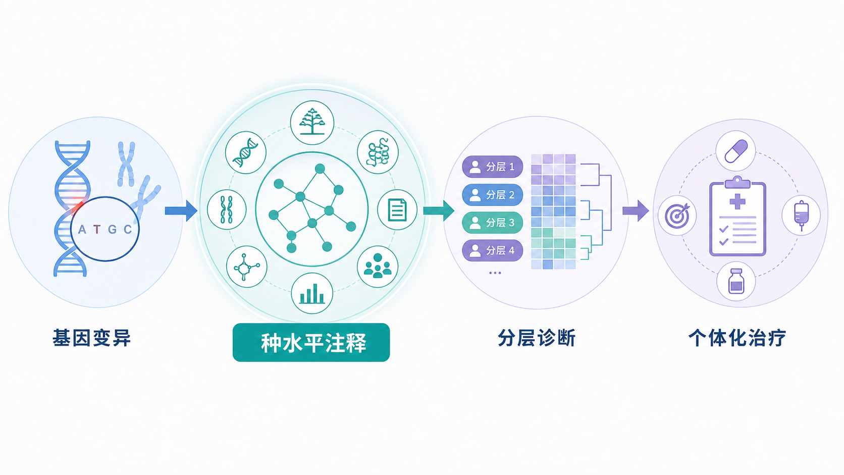精准医学流程示意图,展示从基因变异到分层诊断和个体化治疗的转化路径,突出“种水平注释”在其中的位置。
