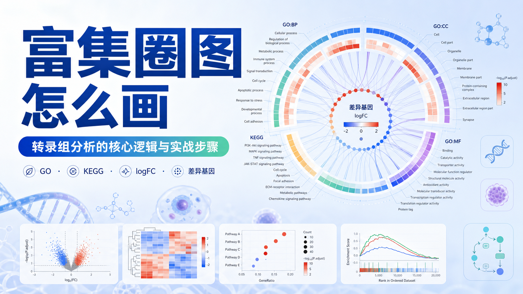 生信富集圈图助力转录组富集分析