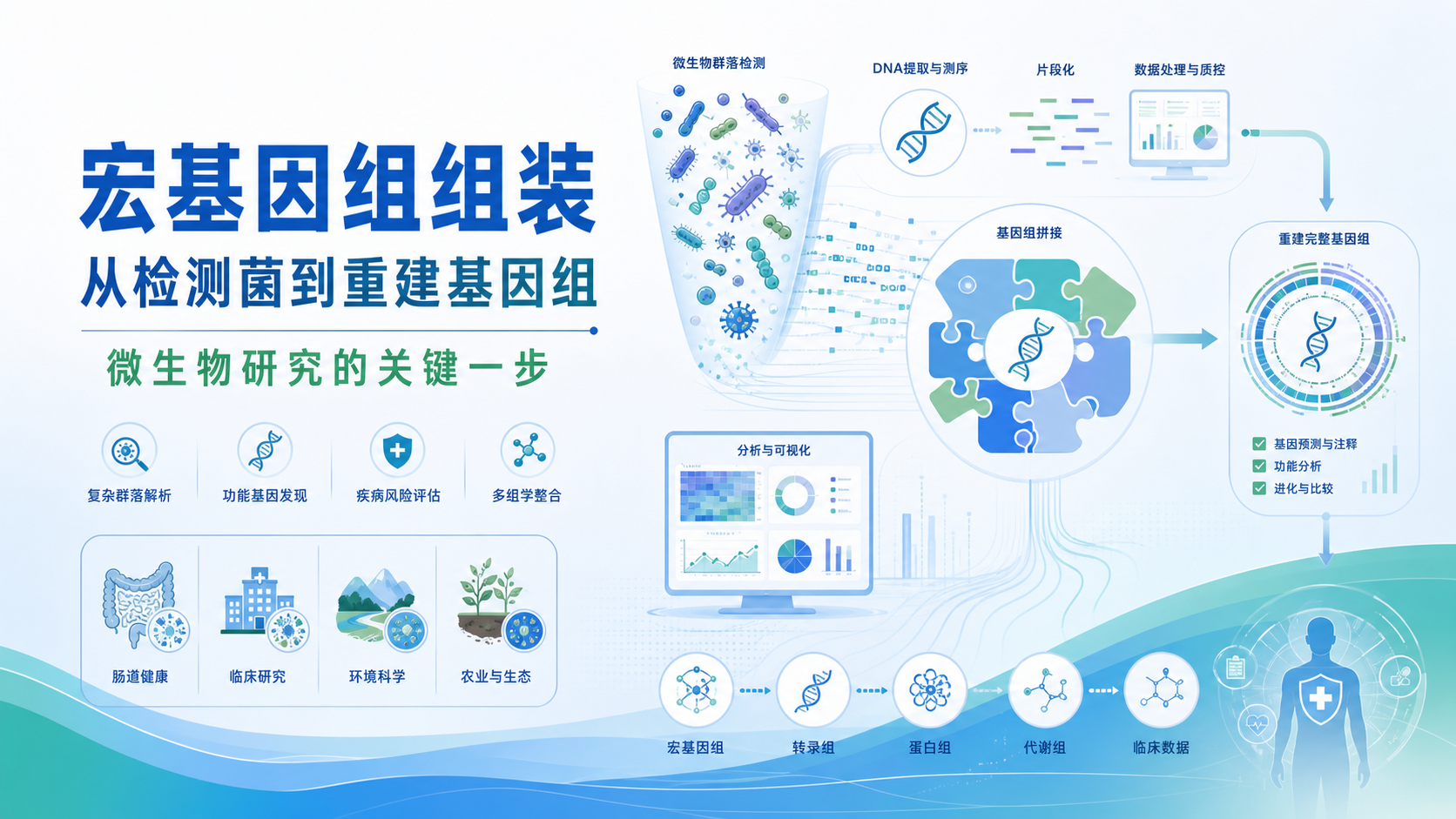 宏基因组组装在微生物研究中的应用
