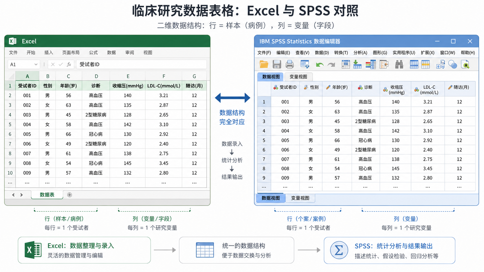临床研究数据表格在Excel和SPSS界面中对照展示，突出二维数据结构、字段名和行列关系。