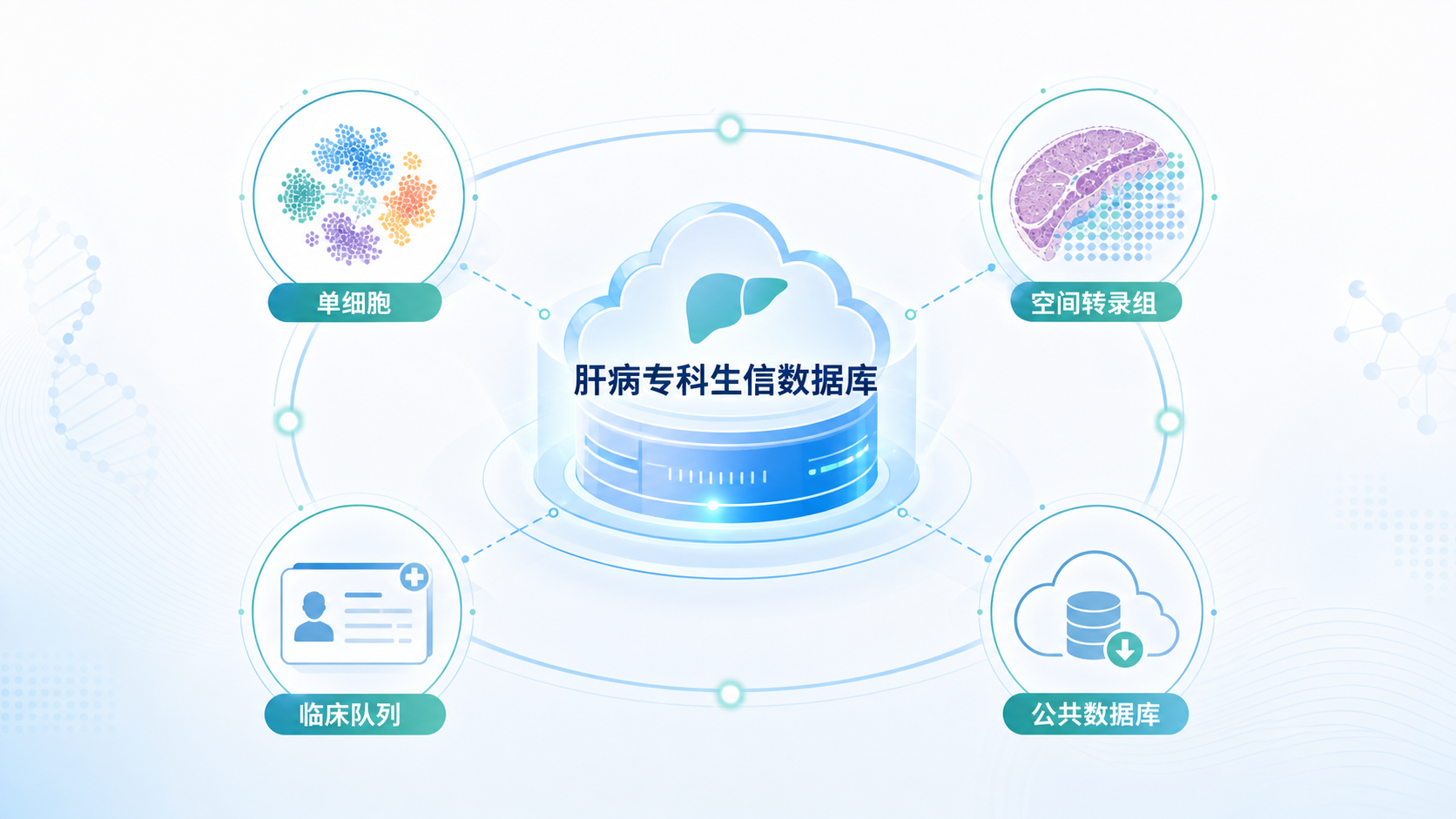 肝病研究数据整合示意图，中央为“肝病专科生信数据库”，周围连接单细胞、空间转录组、临床队列、公共数据库和预后模型等模块