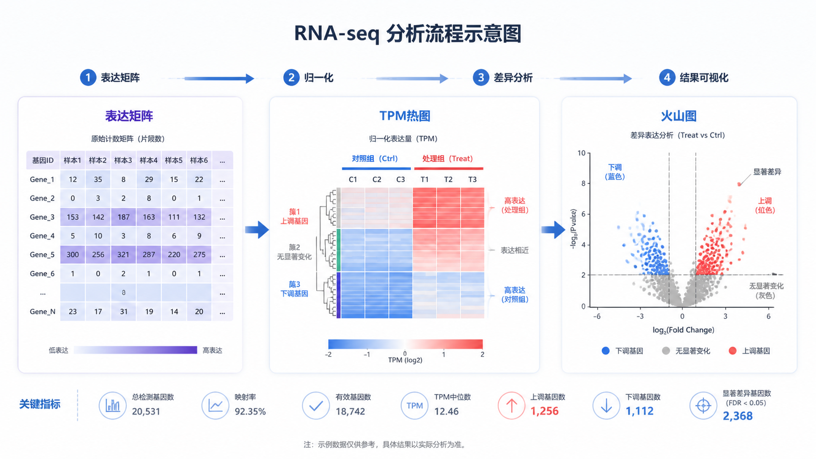 RNA-seq表达矩阵、TPM热图与火山图组合示意，突出“分析流程”与“关键指标”