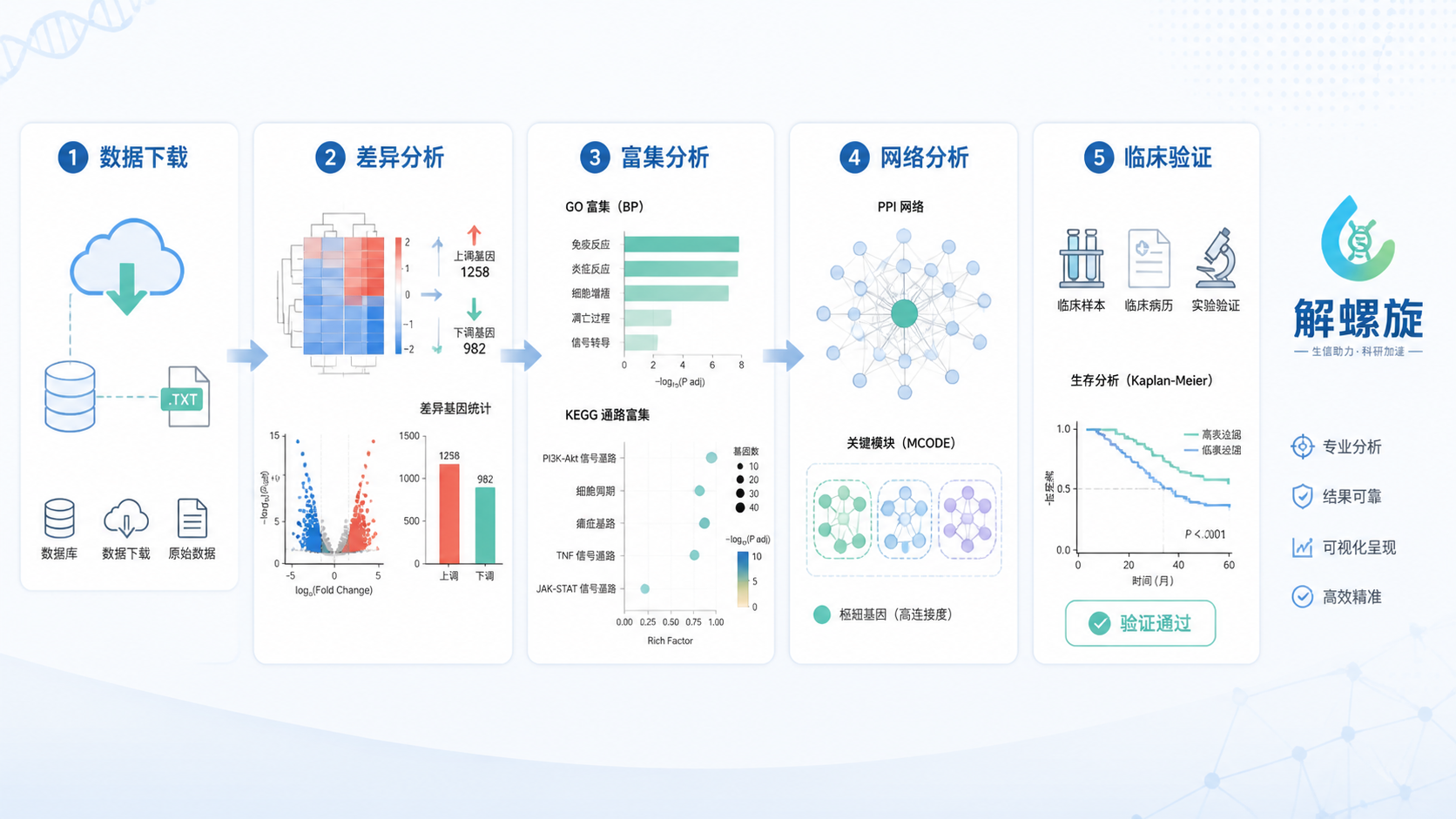一张从“数据下载”到“差异分析、富集分析、网络分析、临床验证”的流程总览图，右侧显示解螺旋品牌标识与学习路径图