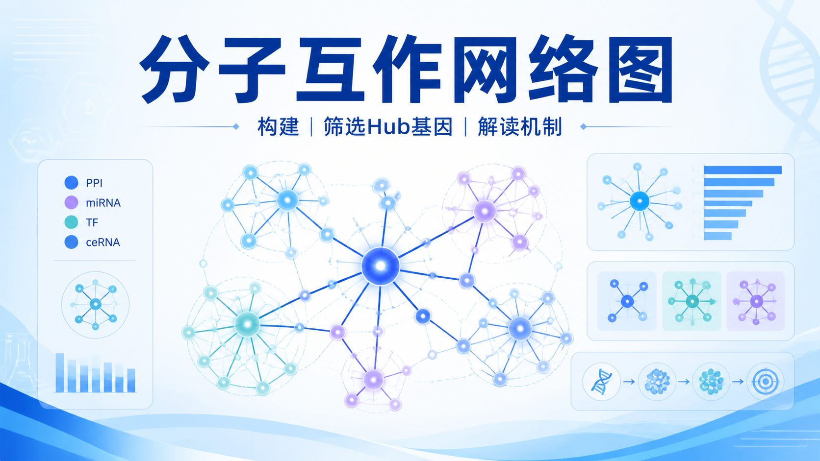分子互作网络图如何构建与解读？