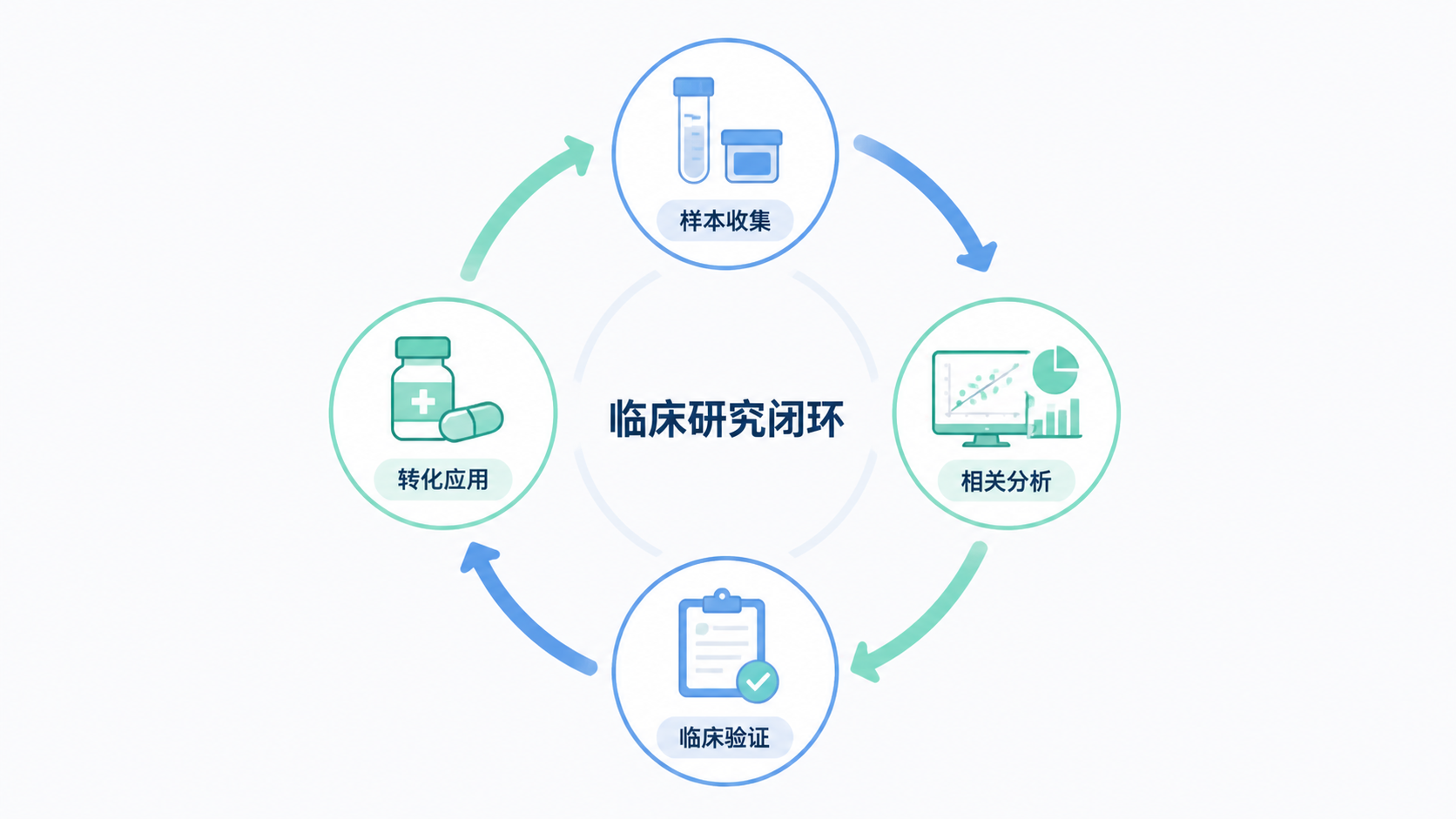 临床研究流程闭环图，展示样本收集、相关分析、临床验证、转化应用四个步骤