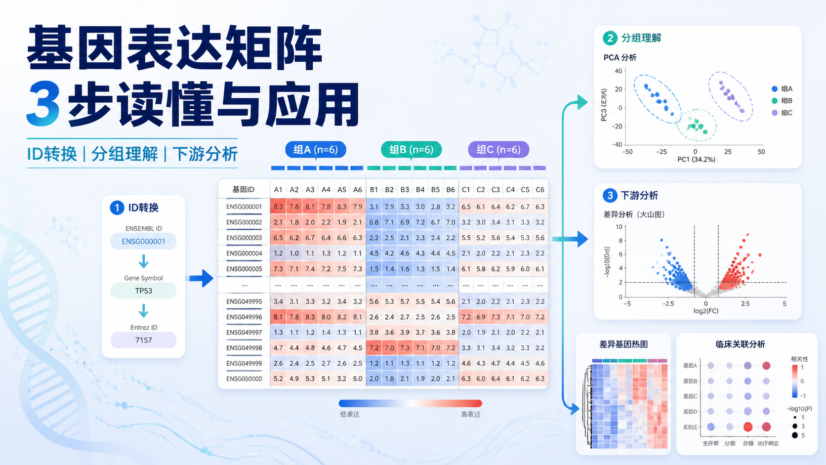 3步读懂基因表达矩阵：专业解析？