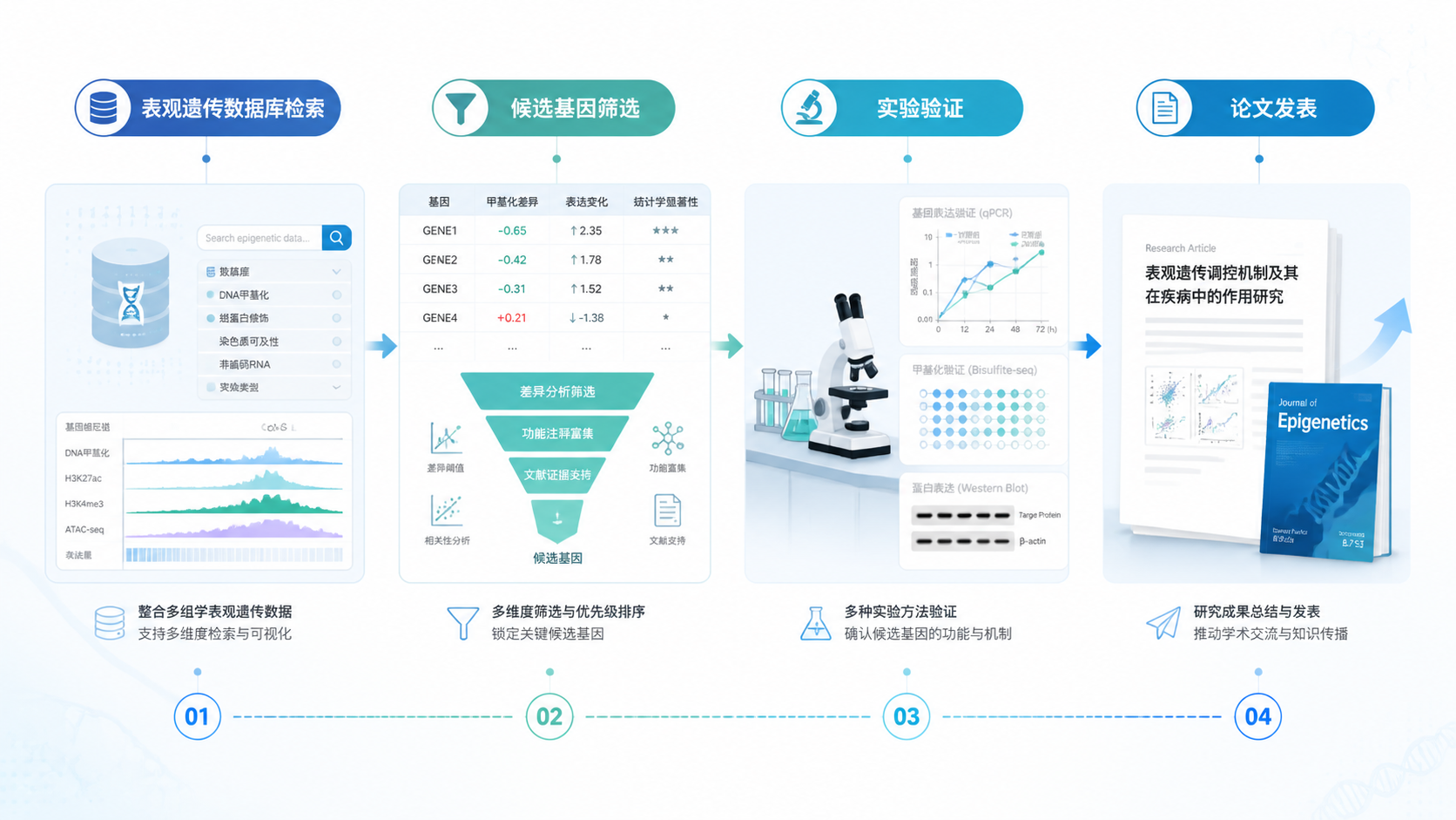 一张科研流程示意图，从表观遗传数据库检索、候选基因筛选、实验验证到论文发表。