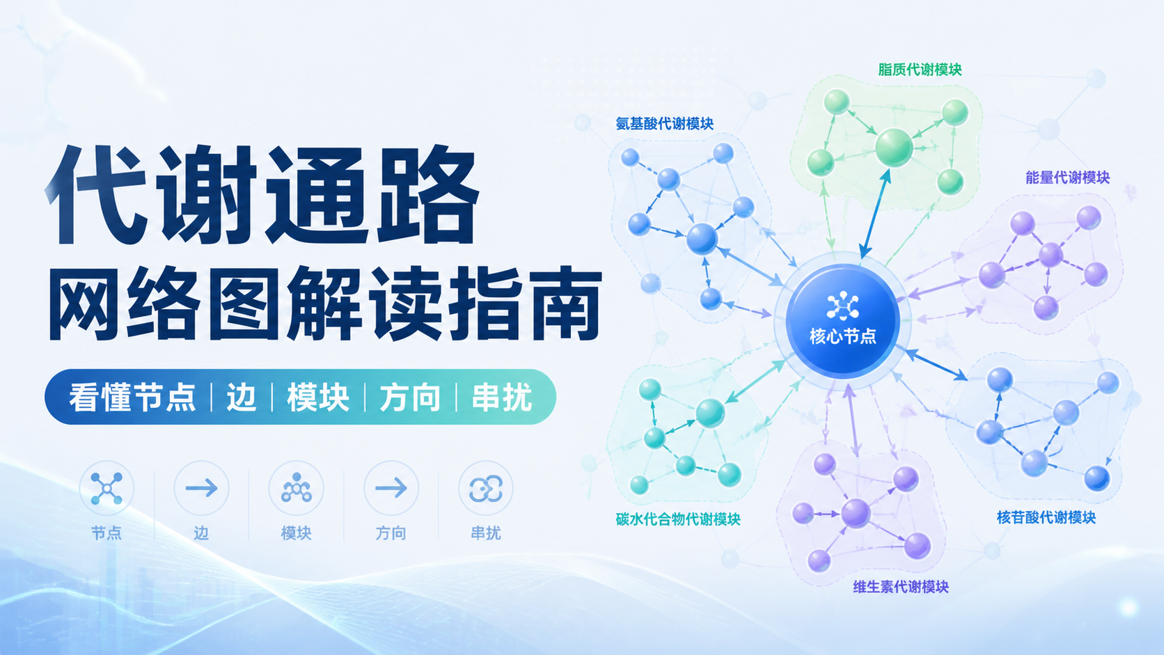 代谢通路网络图怎么读？5个关键要点解析