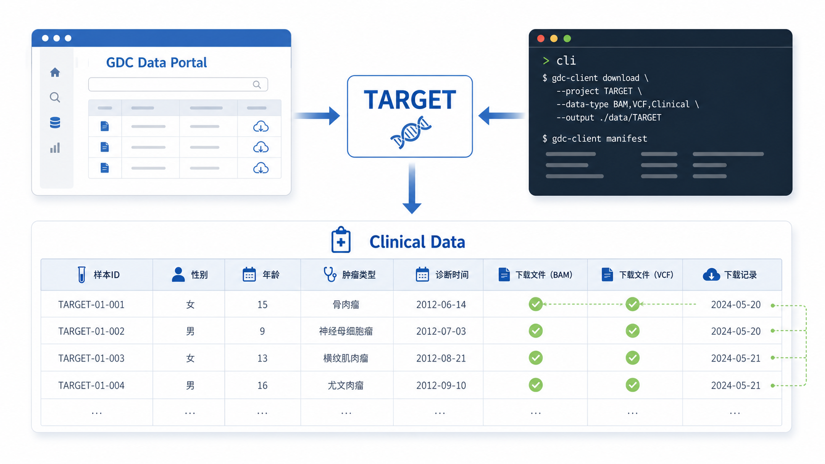 一张TARGET数据库下载与临床数据表格对照的示意图，包含GDC Data Portal、clinical.tsv、样本ID匹配关系。