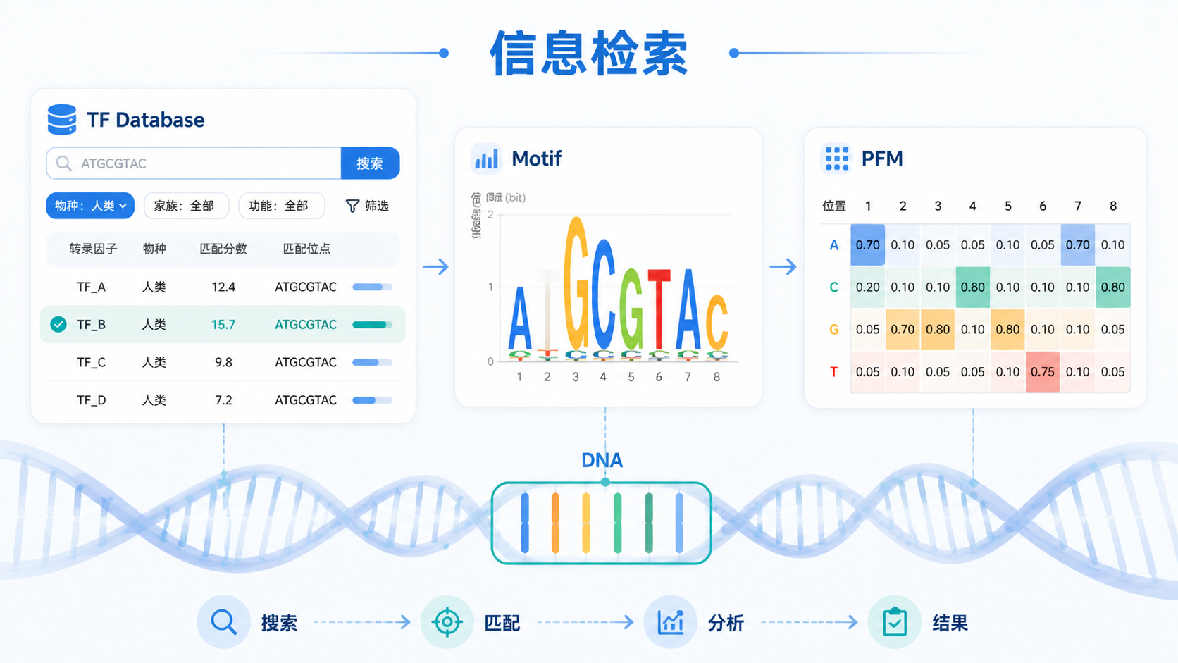 转录因子数据库检索界面、motif logo、PFM矩阵和DNA双螺旋的组合示意图，突出“信息检索与分析”场景