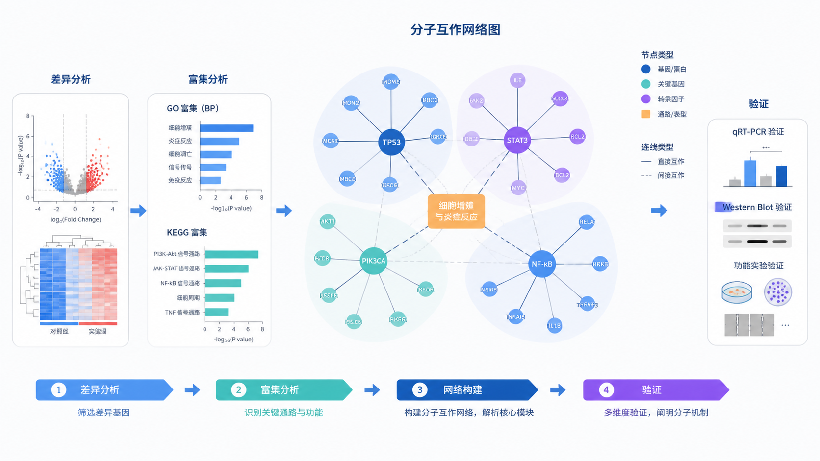 一张完成度较高的生信网络图成稿，旁边配有“差异分析-富集分析-网络构建-验证”的流程箭头，突出从数据到论文结果的闭环。