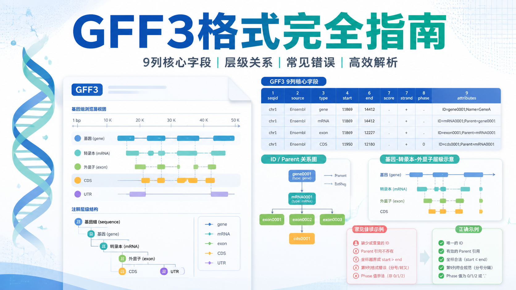 GFF3格式解析：5个核心要点是什么？