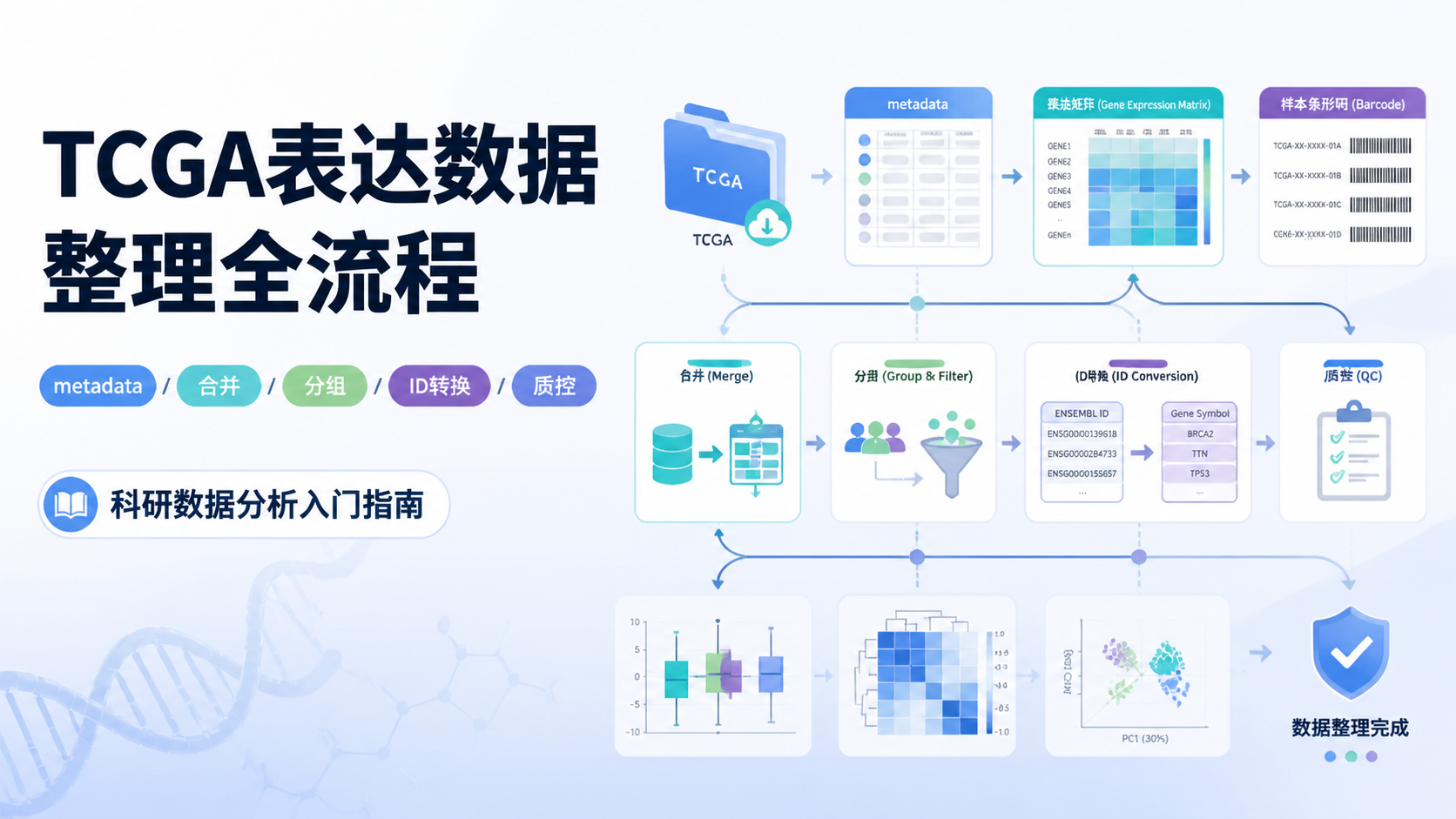 TCGA数据导入分析：5步完成？